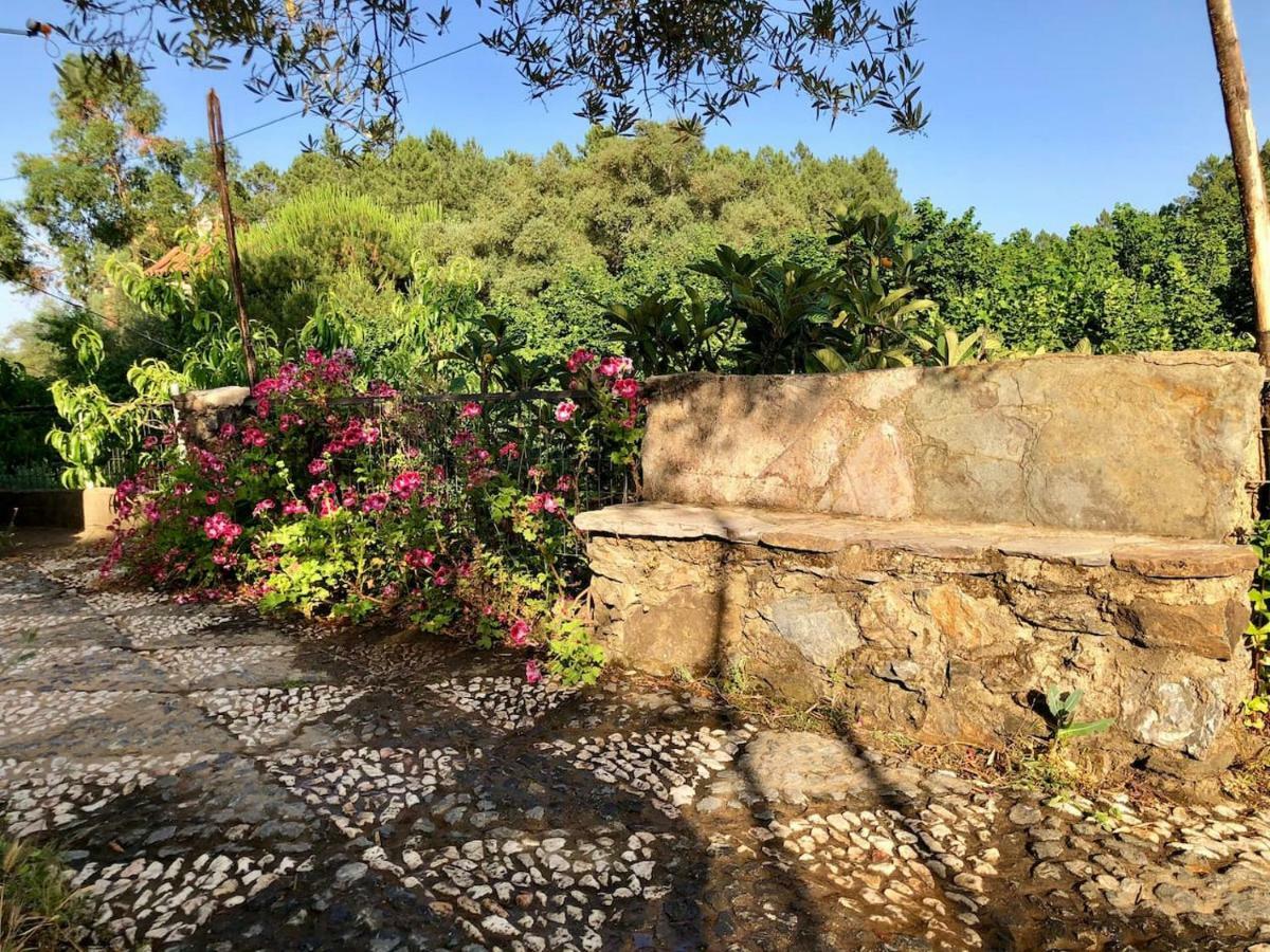 فيلا Casa Papiqui فوينتيئيريدوس المظهر الخارجي الصورة