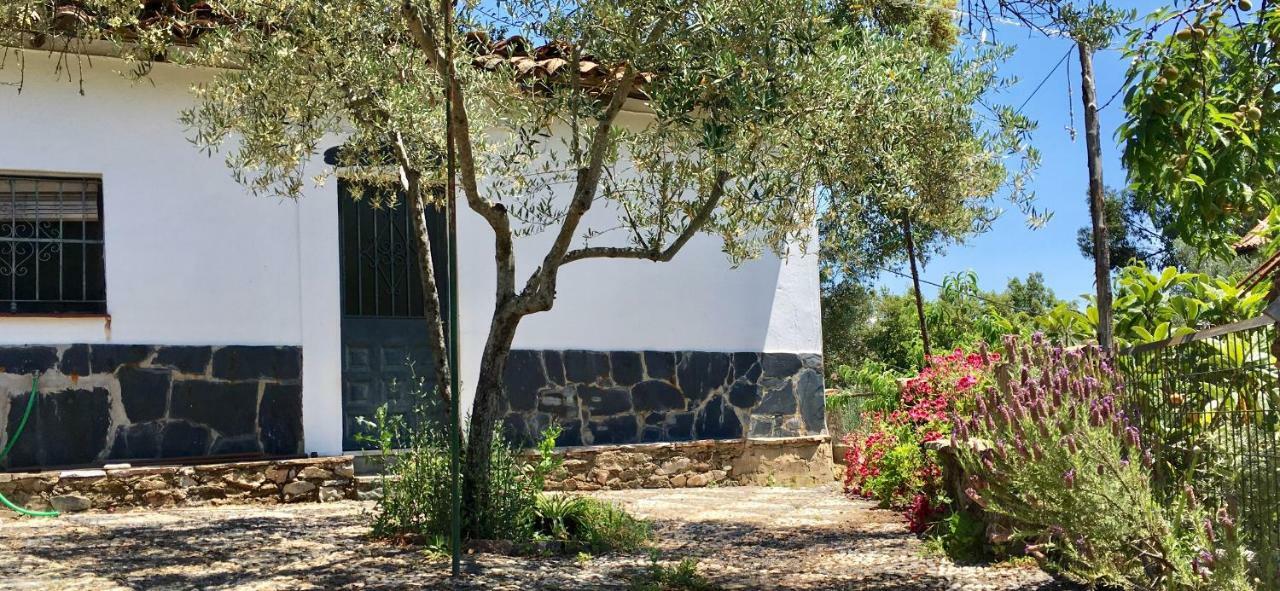 فيلا Casa Papiqui فوينتيئيريدوس المظهر الخارجي الصورة