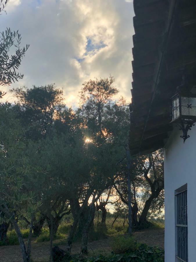 فيلا Casa Papiqui فوينتيئيريدوس المظهر الخارجي الصورة